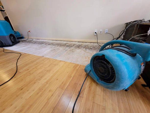 Reliable Basement Flood Cleanup contractor in Milford, MA by Hirex Water Damage