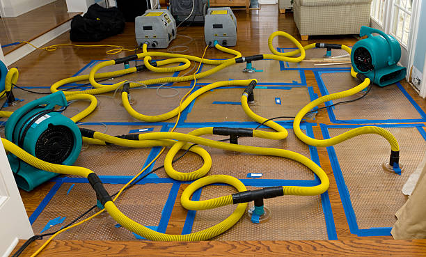 Professional Basement Flood Cleanup technician working in Milford, MA